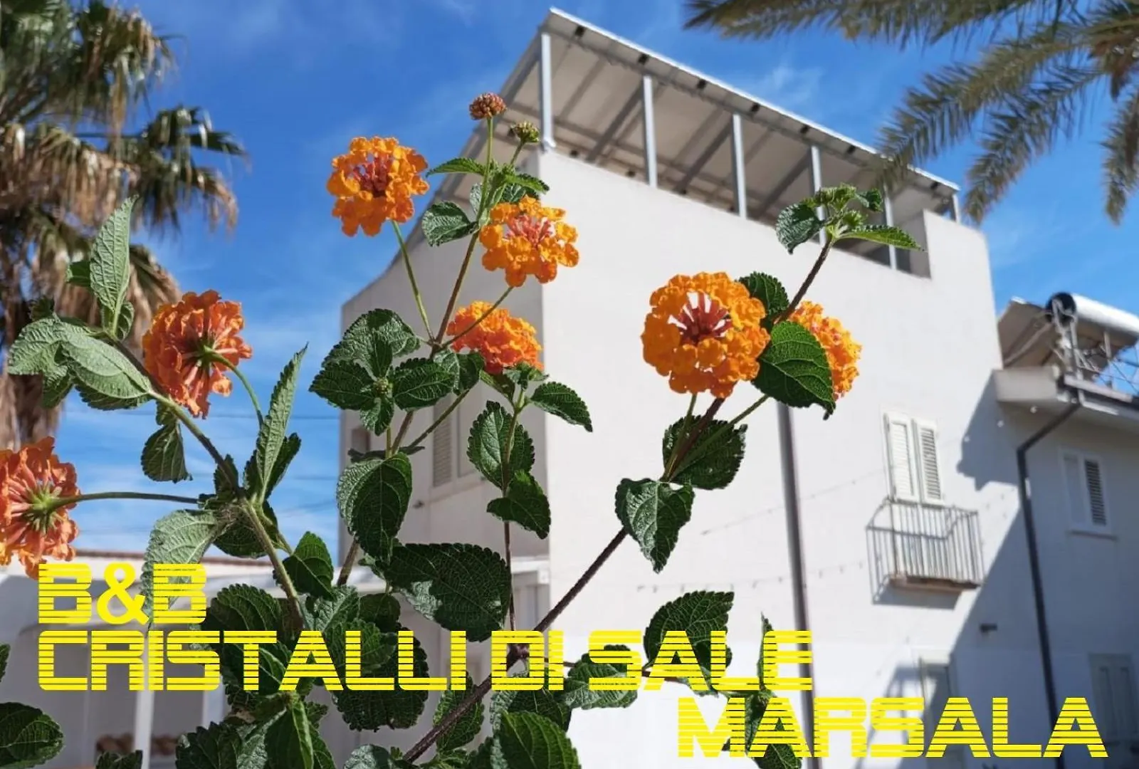 Cristalli Di Sale Marsala Italy